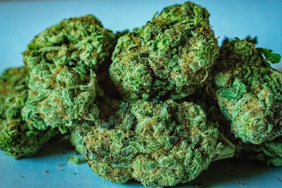 A Beginner’s Guide to Buying High-Quality THCa Flower Online